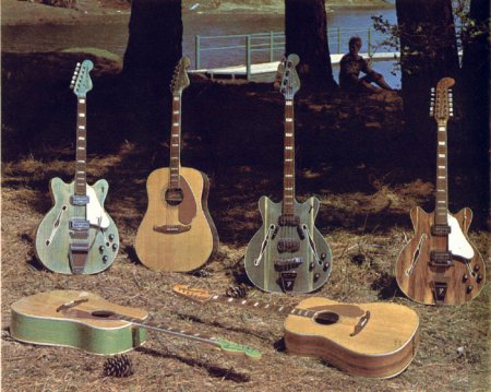 wildwood guitar bodies