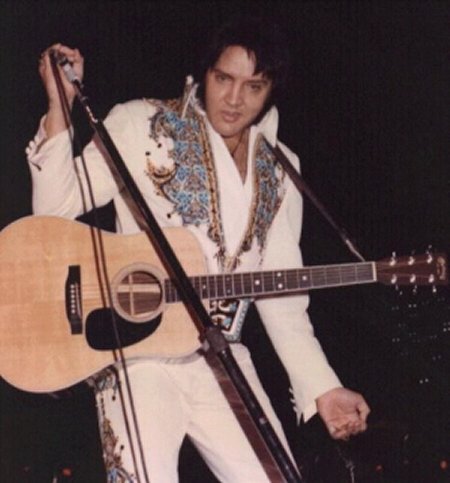 elvis in concert ringer